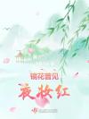 绵绵红豆，潺潺相思