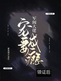 巷口的猫没家